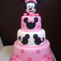 Dort s Minnie 6